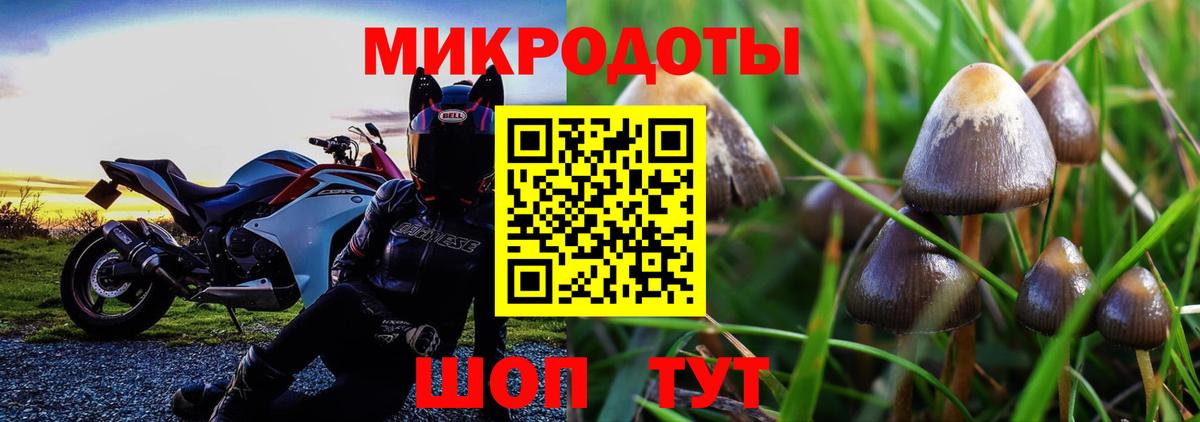 Псилоцибиновые грибы GOLDEN TEACHER Сердобск