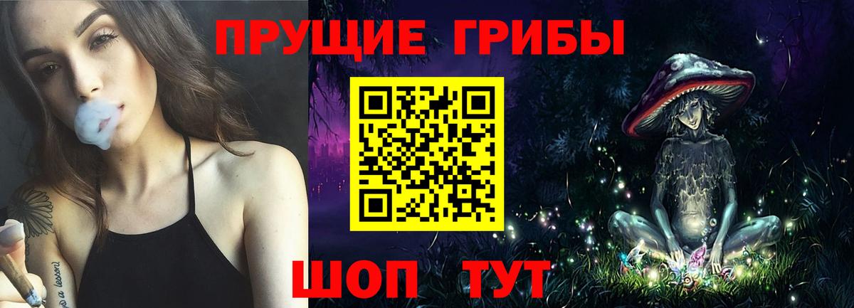 купить закладку  Вход с VPN  Псилоцибиновые грибы прущие грибы  Сердобск  Псилоцибиновые грибы GOLDEN TEACHER 